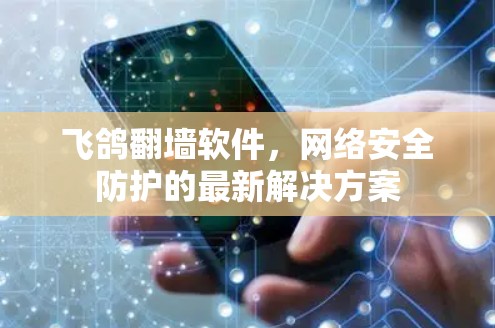 飞鸽翻墙软件,网络安全防护的最新解决方案