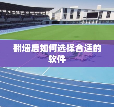 翻墙后如何选择合适的软件
