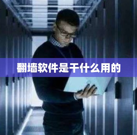 翻墙软件是干什么用的