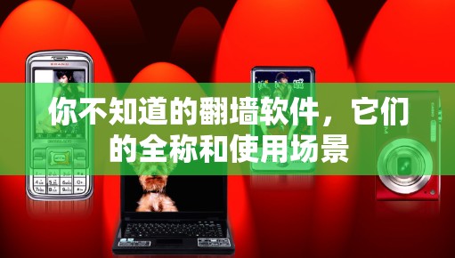 你不知道的翻墙软件,它们的全称和使用场景