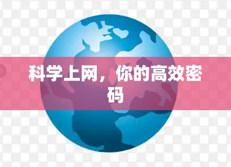 科学上网,你的高效密码