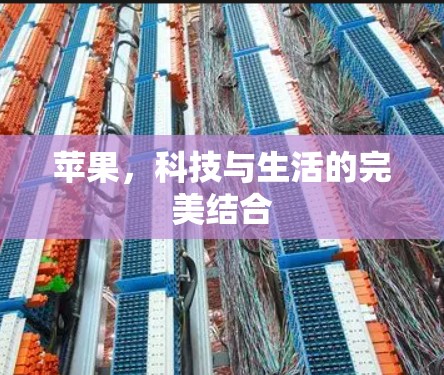 苹果，科技与生活的完美结合