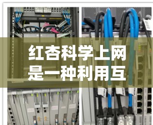 红杏科学上网是一种利用互联网获取关于红杏科学信息的方法,旨在帮助用户获取知识、参与科研项目和促进科学研究。以下是详细的步骤指南