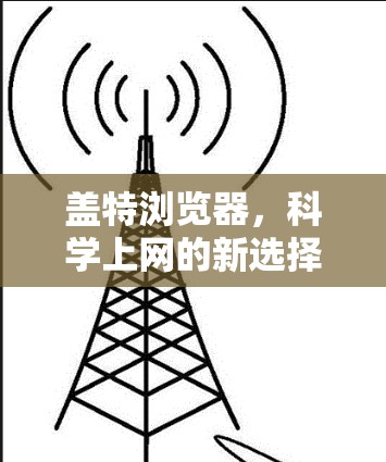 盖特浏览器,科学上网的新选择,开启高效网络之旅