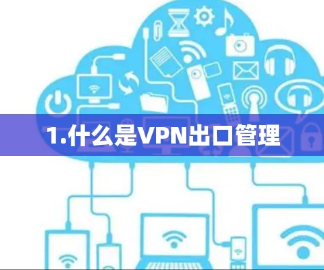 1.什么是VPN出口管理