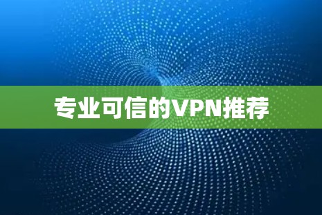 专业可信的VPN推荐