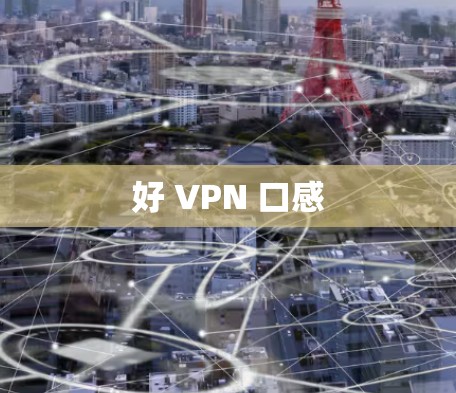 好 VPN 口感 好 VPN 口感