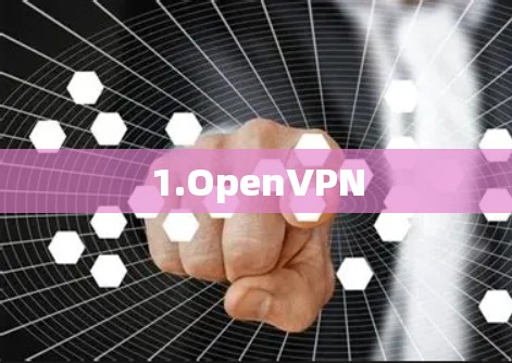 1.OpenVPN