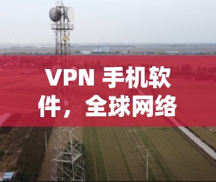 VPN 手机软件,全球网络加密时代的重要工具 VPN 手机软件,全球网络加密时代的重要工具
