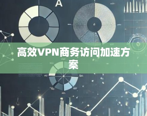 高效VPN商务访问加速方案