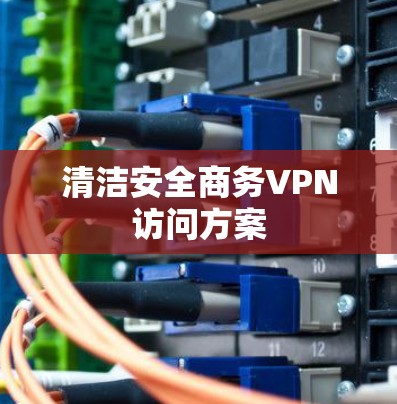 清洁安全商务VPN访问方案