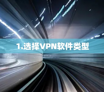 1.选择VPN软件类型