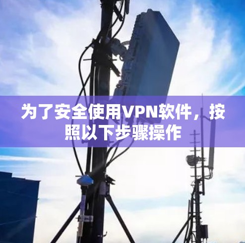 为了安全使用VPN软件,按照以下步骤操作 为了安全使用VPN软件,按照以下步骤操作