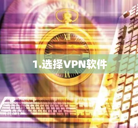 1.选择VPN软件