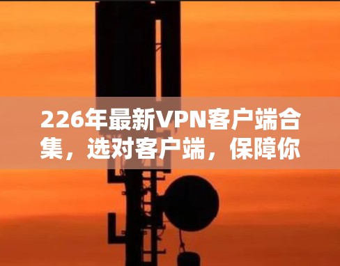 226年最新VPN客户端合集,选对客户端,保障你的网络安全 226年最新VPN客户端合集,选对客户端,保障你的网络安全