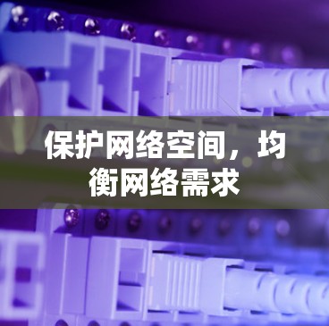 保护网络空间,均衡网络需求 保护网络空间,均衡网络需求