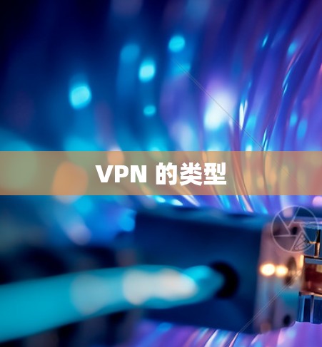 VPN 的类型 VPN 的类型