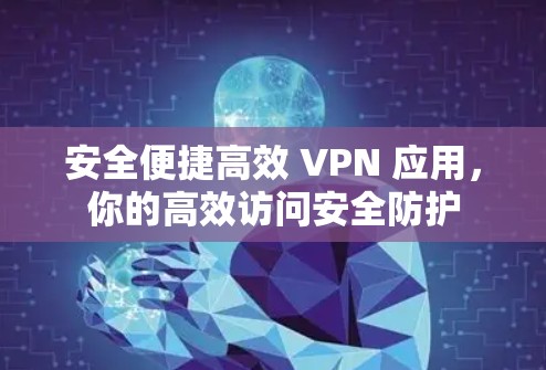 安全便捷高效 VPN 应用，你的高效访问安全防护