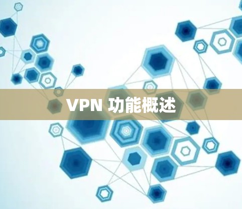 VPN 功能概述 VPN 功能概述