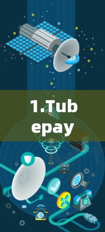 1.Tubepay
