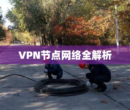 VPN节点网络全解析 VPN节点网络全解析