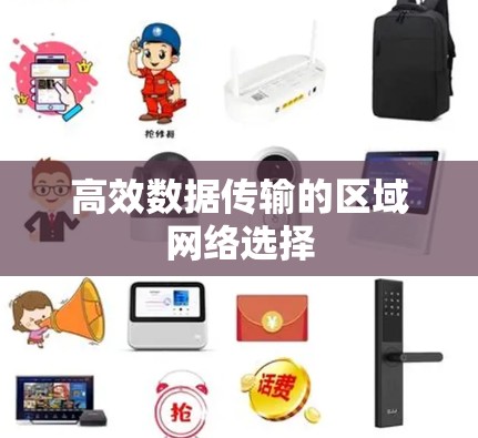 高效数据传输的区域网络选择 高效数据传输的区域网络选择