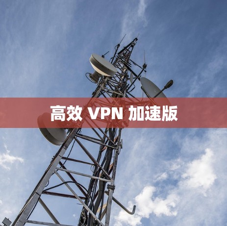 高效 VPN 加速版