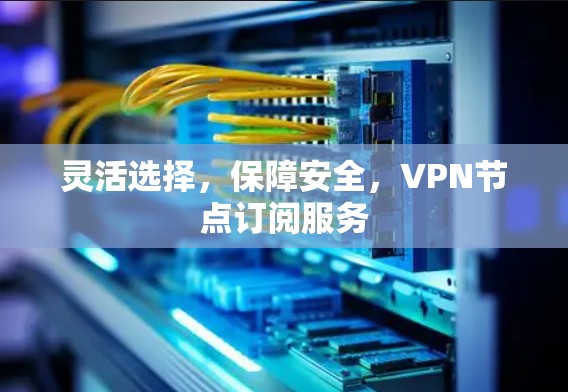 灵活选择，保障安全，VPN节点订阅服务