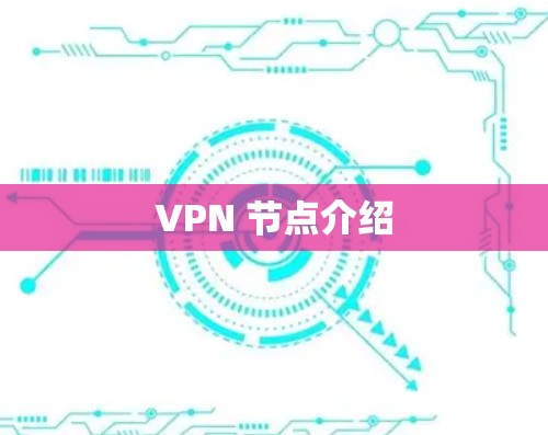 VPN 节点介绍