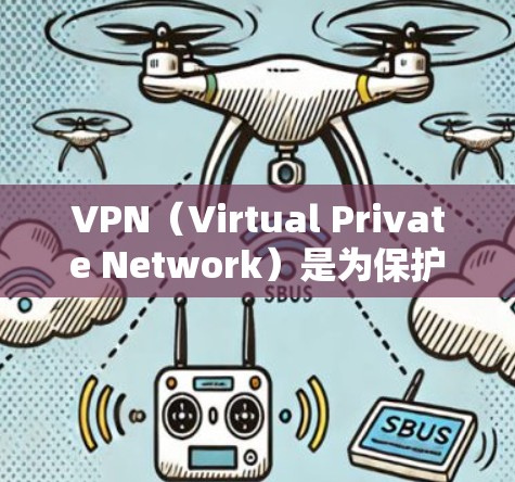 VPN（Virtual Private Network）是为保护个人隐私或在外国进行在线服务而建立的网络。在中文环境下，VPN服务在国际上非常常见，以下是简体中文的VPN介绍