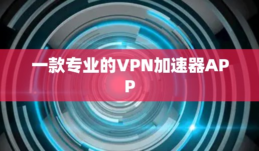一款专业的VPN加速器APP