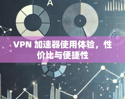 VPN 加速器使用体验,性价比与便捷性 VPN 加速器使用体验,性价比与便捷性