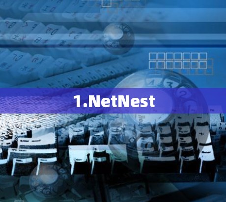 1.NetNest 1.NetNest