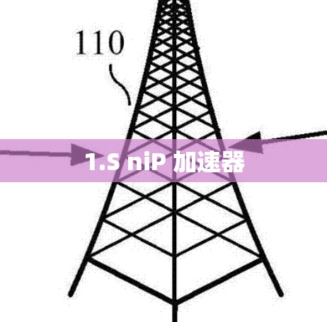 1.S niP 加速器