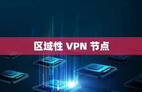 区域性 VPN 节点 区域性 VPN 节点