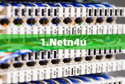 1.Netn4u 1.Netn4u