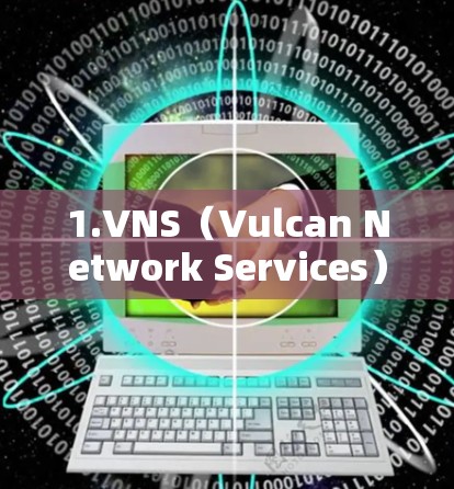 1.VNS(Vulcan Network Services) 1.VNS(Vulcan Network Services)