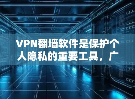 VPN翻墙软件是保护个人隐私的重要工具，广泛应用于移动互联网中。以下是主流VPN翻墙软件和客户端的分析，帮助您做出明智的选择