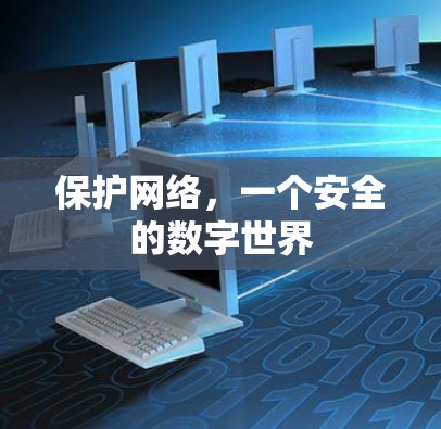 保护网络，一个安全的数字世界