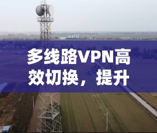 多线路VPN高效切换，提升网络安全与效率