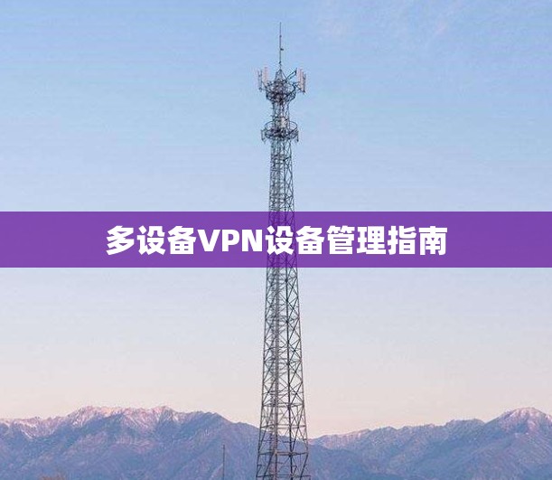 多设备VPN设备管理指南