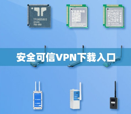 安全可信VPN下载入口