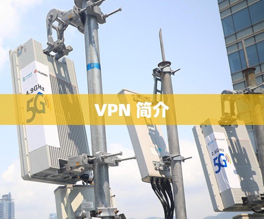 VPN 简介 VPN 简介