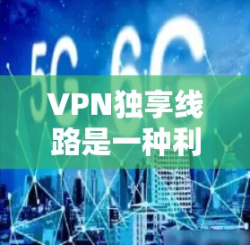 VPN独享线路是一种利用互联网管理访问的简化服务，用户无需密码或会员卡即可在线访问，适用于特定需求的用户。以下是对该服务的详细分析