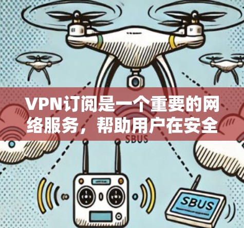 VPN订阅是一个重要的网络服务，帮助用户在安全、便捷的环境中进行各种在线活动。以下是一些常见的VPN订阅类型及其特点
