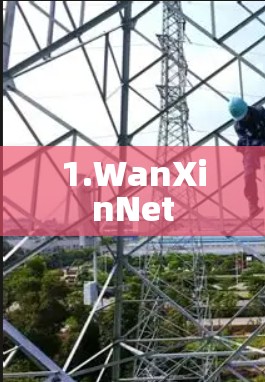 1.WanXinNet