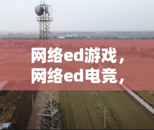 网络ed游戏，网络ed电竞，网络ed网络ed