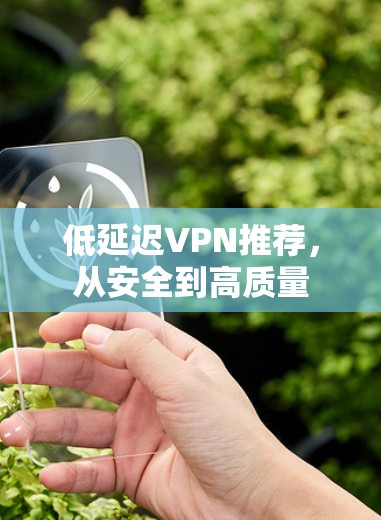 低延迟VPN推荐,从安全到高质量 低延迟VPN推荐,从安全到高质量