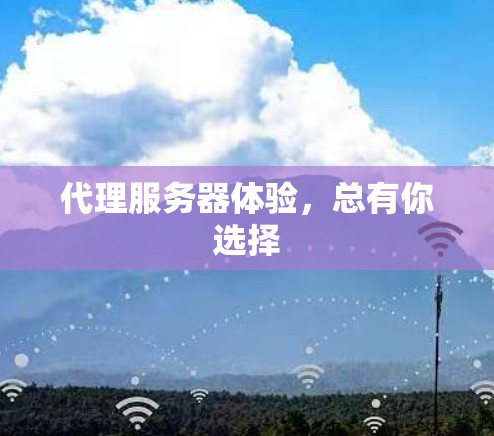 代理服务器体验,总有你选择 代理服务器体验,总有你选择