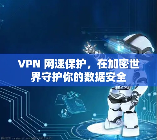 VPN 网速保护,在加密世界守护你的数据安全 VPN 网速保护,在加密世界守护你的数据安全